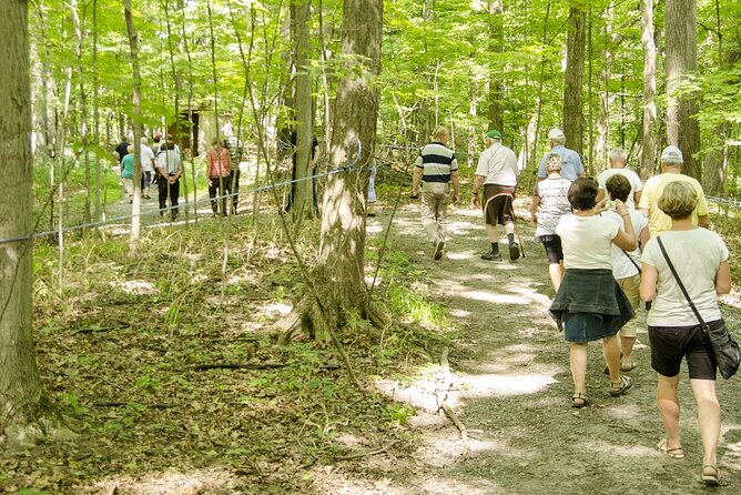 Discover Maple Sugar Bush Tour - Meeting and Pickup