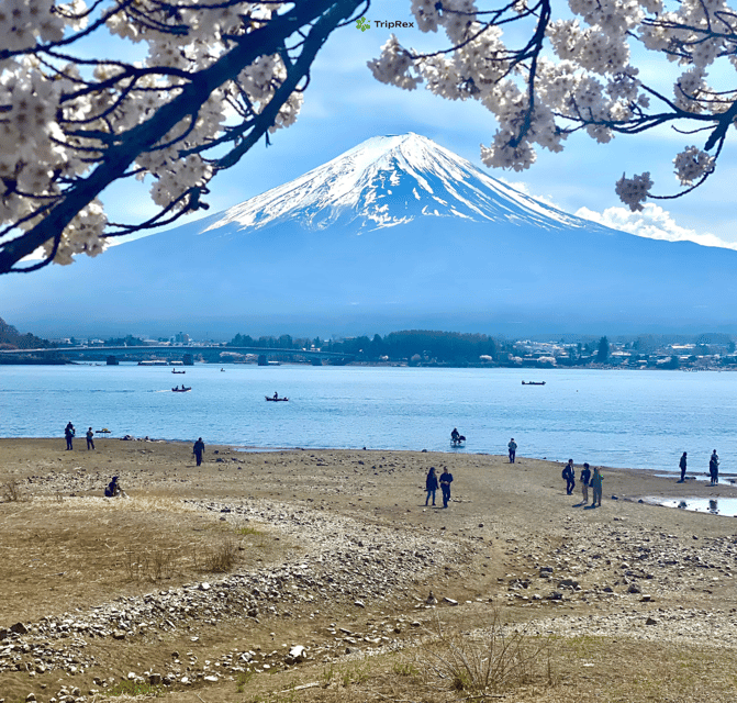 Discover Mount Fuji: Private Car/Van Day Tour From Tokyo - Inclusions