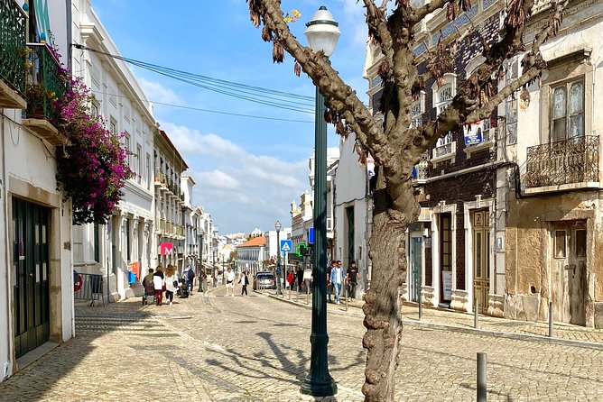 Discover Tavira - Tapas and Wine Tour - Exploring Tavira on Foot