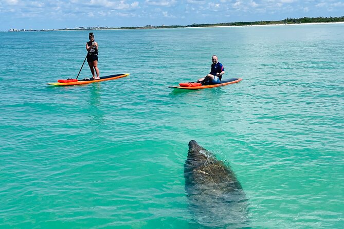 Dolphin and Manatee Adventure Tour of Fort Myers - Meeting and Pickup Information