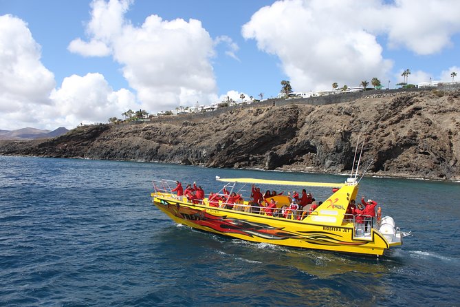 Dolphin Mini Cruise at Playa Del Carmen - Meeting Point and Pickup