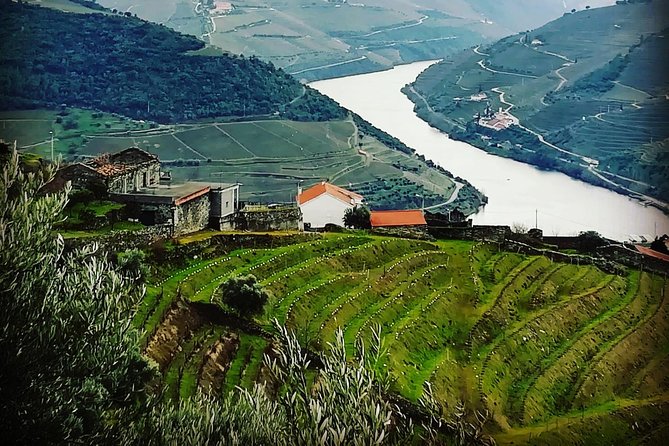 Douro Valley Full-Day Private Tour From Porto - Included in the Tour