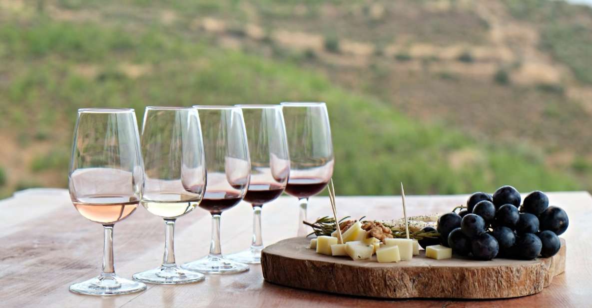 Douro Valley Private Tour With 2 Wine Tastings - Immersive Douro Landscape