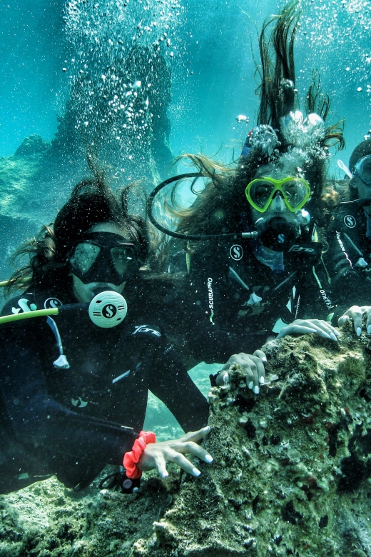 DSD | Guided Scuba Diving Experience in Paros - Pricing and Booking