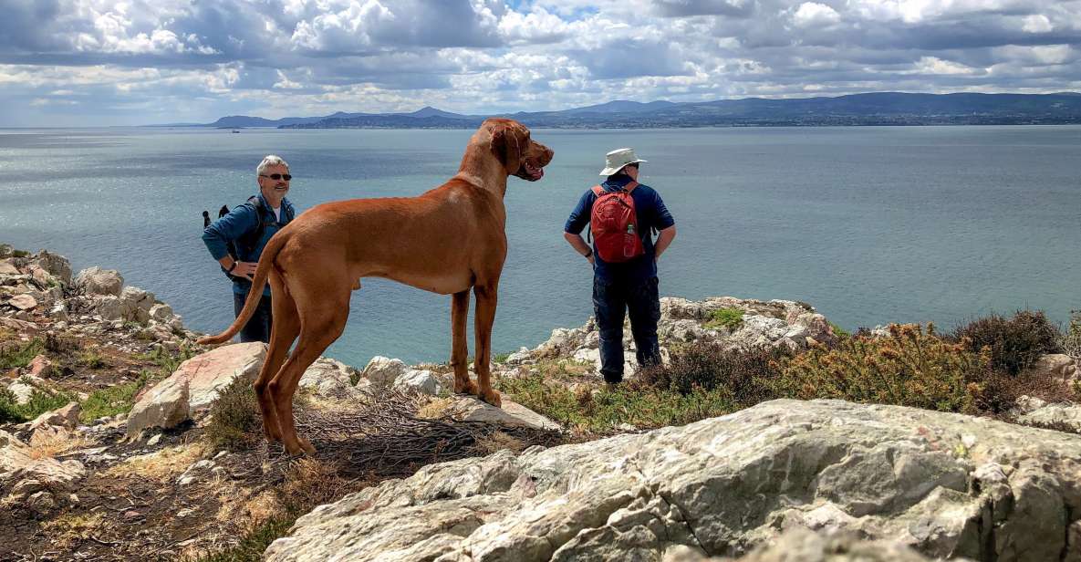 Dublin: Dublin Coastal Hiking Tour With Howth Adventures - Experience Highlights