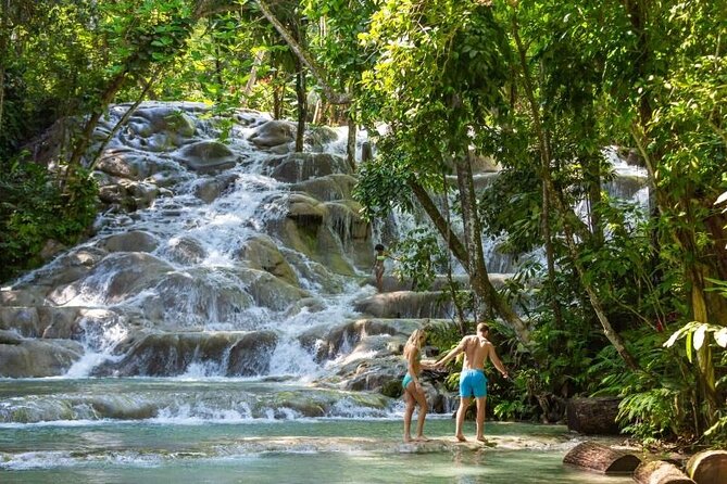 Dunns River Falls, Zipline, Bamboo Rafting, Horseback Ride Tour - Service Provider Responses