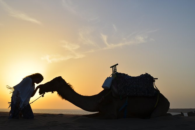 Essaouira: 1/2 Day Camel Ride With Meal. - Booking and Cancellation Policy