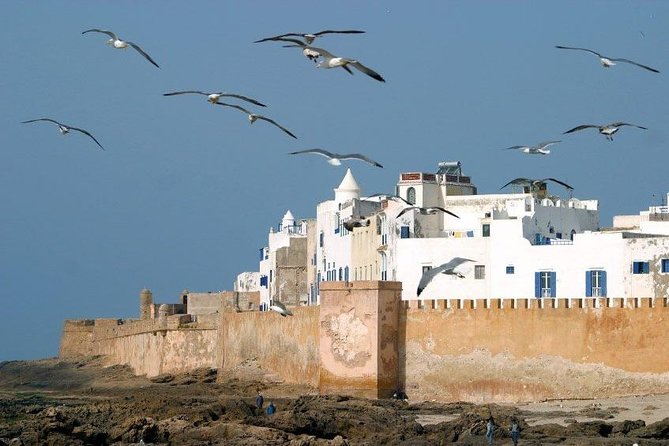 Essaouira Private Full Day Trip From Marrakech - Timing