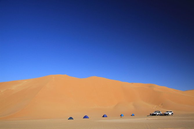 Evening Desert Safari With Belly Dance and BBQ Dinner and Camel Ride - Included Activities and Amenities