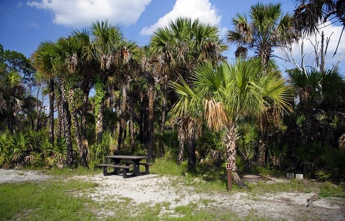 Everglades National Park Biologist Led Adventure: Cruise, Hike + Airboat - Pickup and Meeting Points