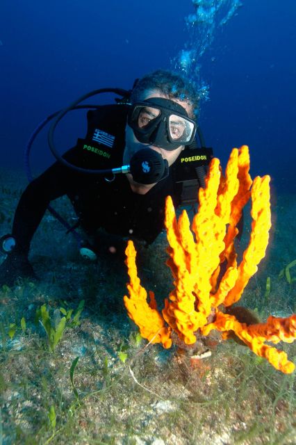 Experience 2 Tank Scuba Diving on Paros - Booking and Cancellation Policies