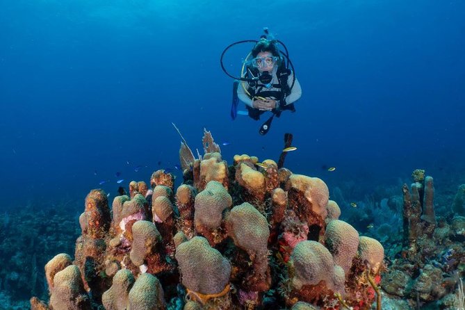 Fajardo 2-Tank Scuba Dive for Certified Divers Only - Meeting and Pickup