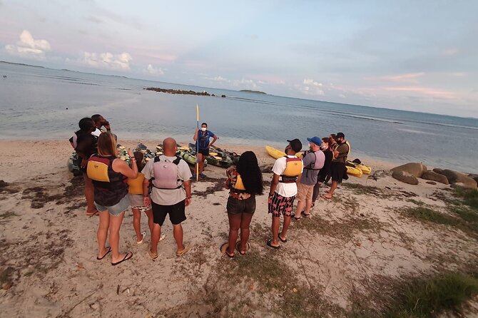 Fajardo Bioluminescent Bay Night Kayak Adventure From San Juan - Bioluminescent Phenomenon