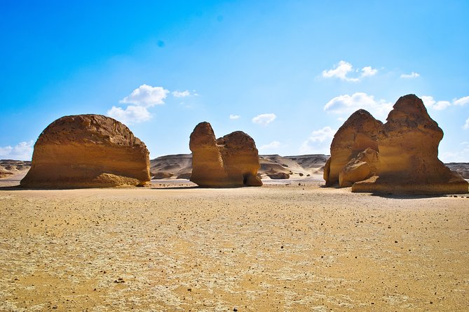 Fayoum Oasis Tour to Karanis, Qarun Lake, Wadi El Rian Waterfalls - Itinerary Highlights