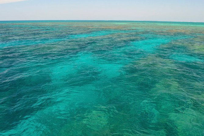 Florida Keys Reef Snorkel & Sail Adventure - Crew and Service Praise