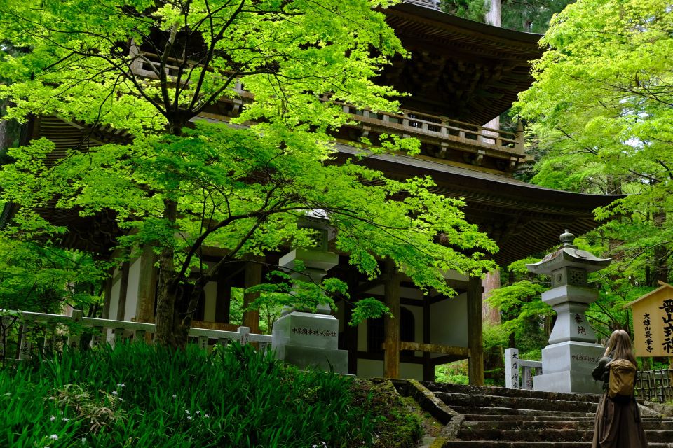 Fm Odawara: Forest Bathing and Onsen With Healing Power - Itinerary and Activities