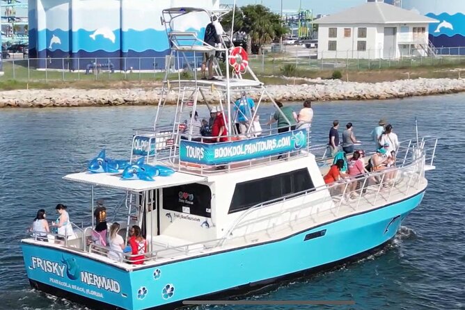 Frisky Mermaid Public Dolphin + Sightseeing Cruise Up to 49 Pax - Tour Details