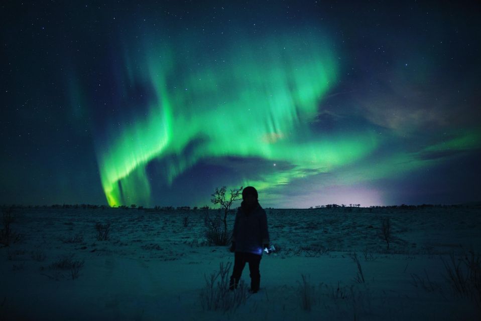 From Alta: Nighttime Northern Lights Spotting Tour - Comfortable Minibus Transportation