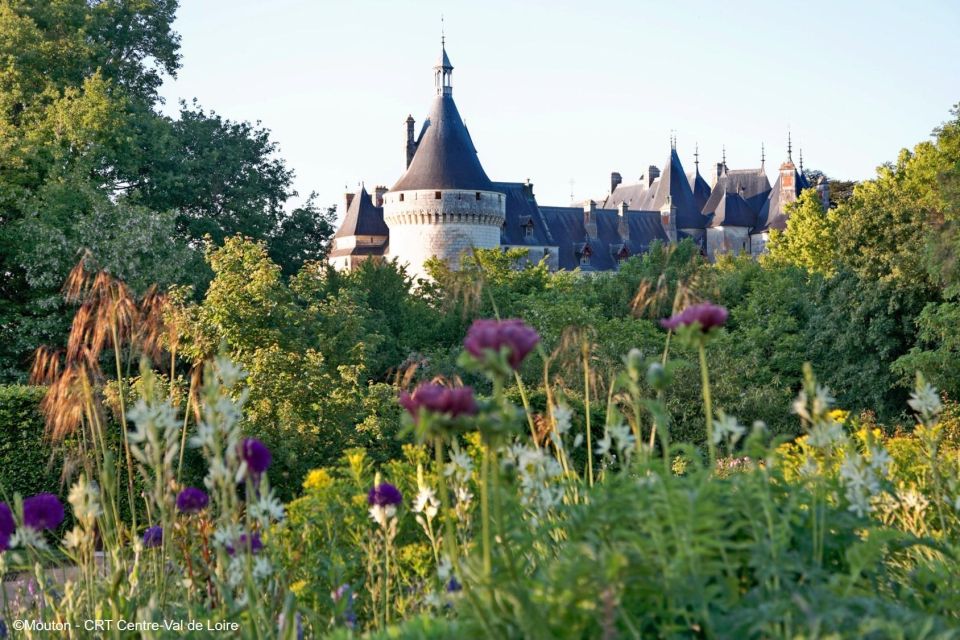 From Blois: Chaumont-sur-Loire, Nature, Wine And History - Explore the Region