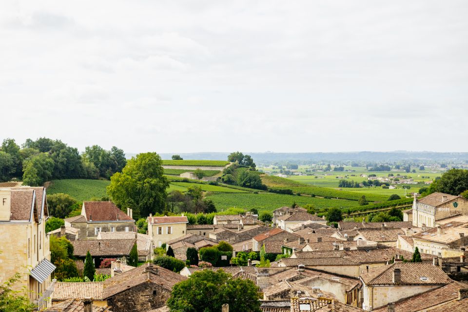 From Bordeaux: Half-Day Saint-Émilion Tour and Wine Tasting - Highlights of the Tour