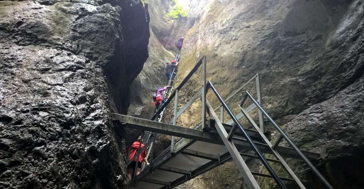 From Brasov: Day Trip to the Seven Ladders Canyon - Activity and Duration