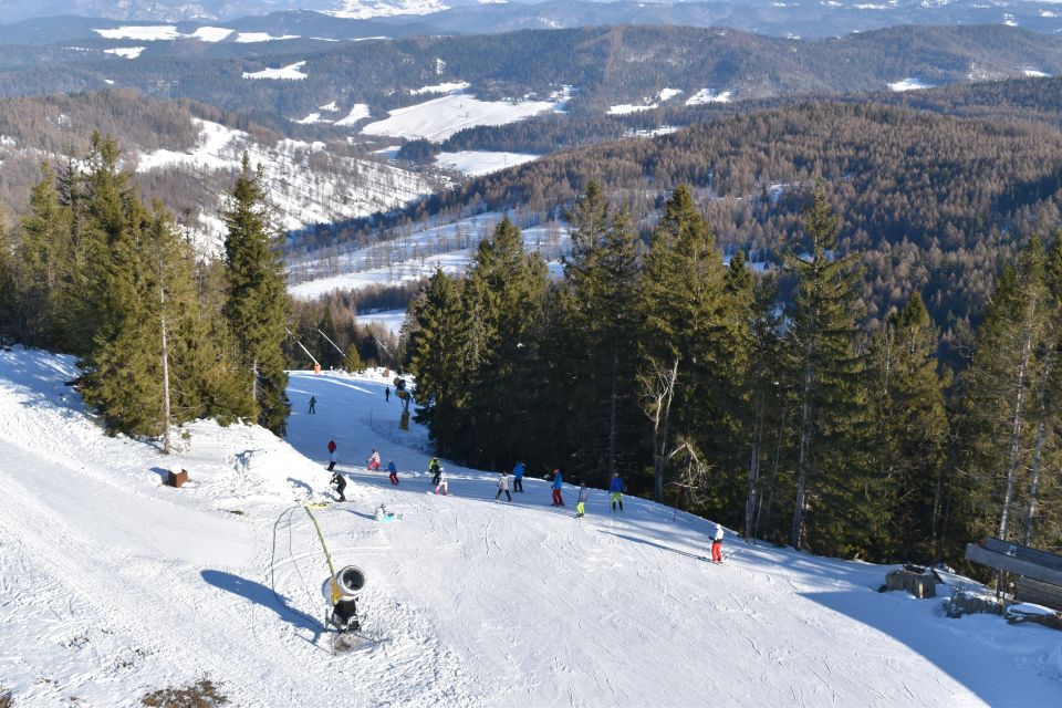 From Kraków: Slovakia Treetop Walk & 4-Hour Ski Pass - Treetop Walk Experience