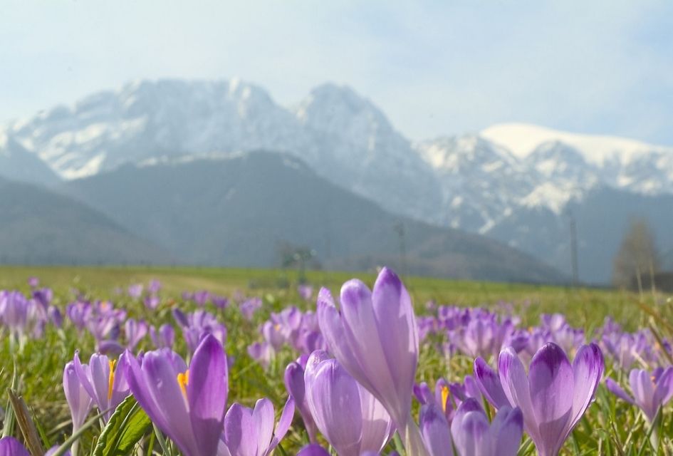 From Krakow: Zakopane and Tatras Mountains Full-Day Tour - Experience Highlights