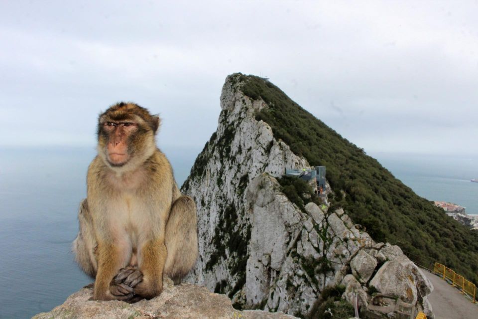 From Málaga: Gibraltar Rock and Caves Full-Day Tour - Highlights Included