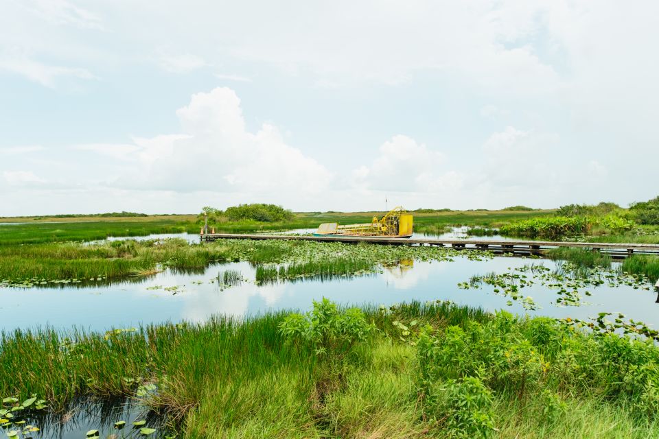 From Miami: Everglades Airboat Ride and Nature Walk - Highlights of the Experience