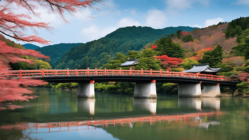 From Osaka:Nara Customizable Private Day Tour With English - Transportation and Group Details