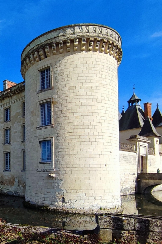 From Poitiers: Private Visit to the Castle of Dissay - Exploring the Renaissance Gardens