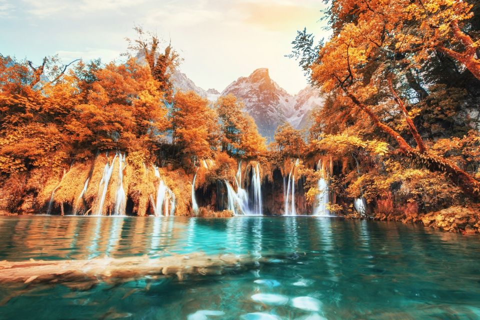 From Porec and Rovinj: Full-Day Plitvice Lakes Guided Trip - Inclusions and Logistics