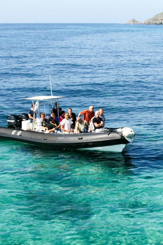 From Porto: Scandola and Calanche De Piana Boat Tour - Exploring Scandola Nature Reserve