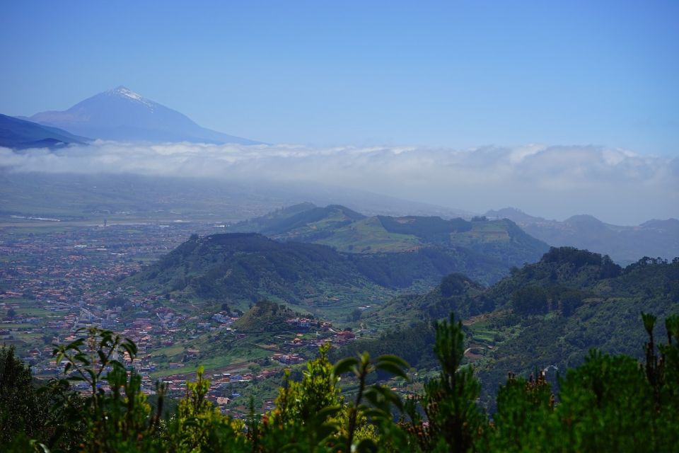 From Puerto De La Cruz: VIP Tour Around Anaga and La Laguna - Itinerary Highlights