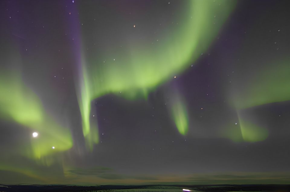 From Rovaniemi: Aurora Dreamscape Tour in the Wild - Highlights and Inclusions