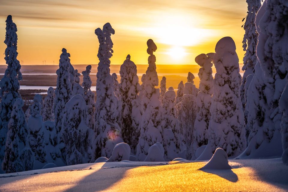 From Rovaniemi: Riisitunturi Full-Day Wilderness Adventure - Highlights of the Experience