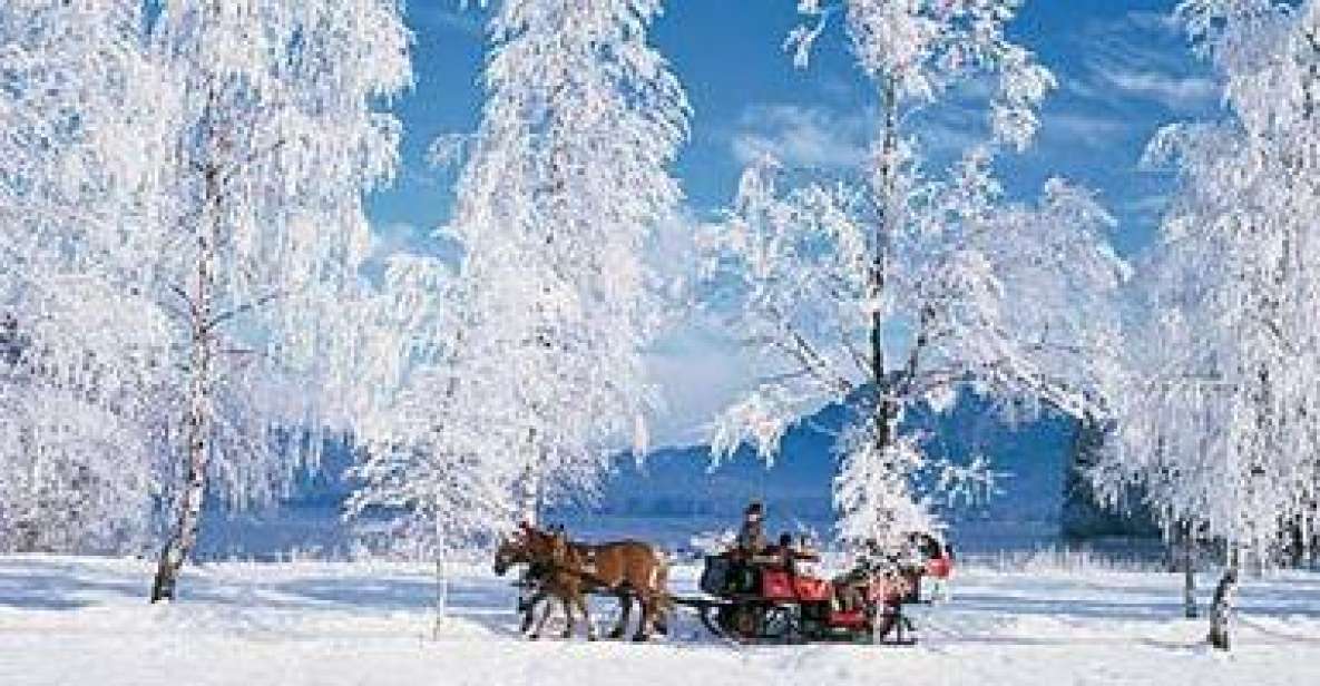 From Salzburg: 8-Hour Tour With Horse-Drawn Sleigh Ride - Inclusions and Exclusions