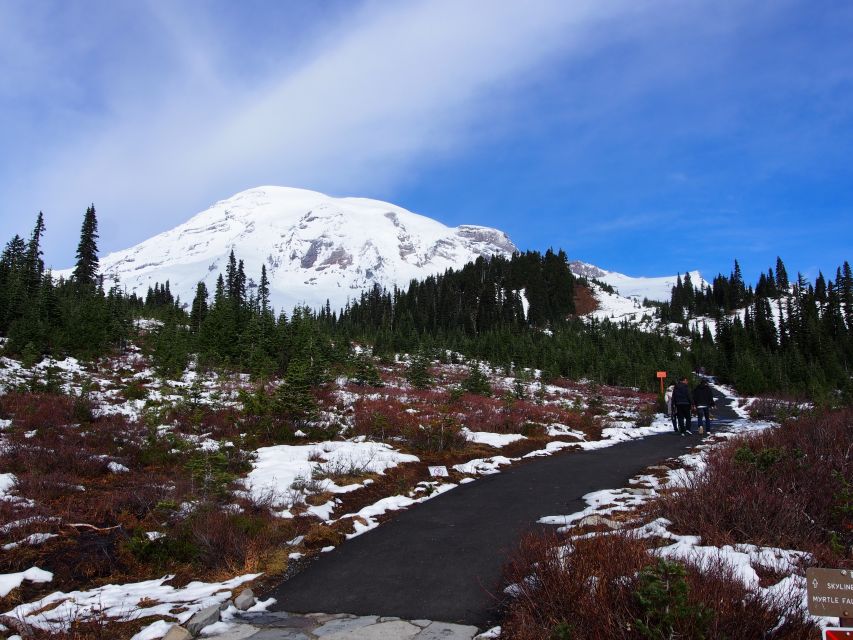 From Seattle: Mount Rainier Full-Day Tour - Transportation Options