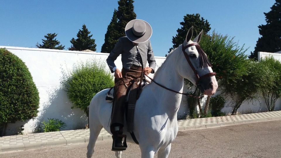 From Seville: Andalusian Horseback Ride - Location and Accessibility