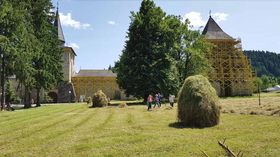 From Suceava: Painted Monasteries of Bucovina Day Trip - Itinerary and Highlights