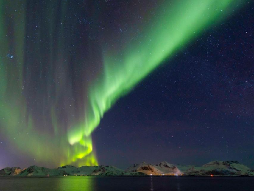 From Svolvær: Guided Northern Lights Tour by Van - Pricing and Booking