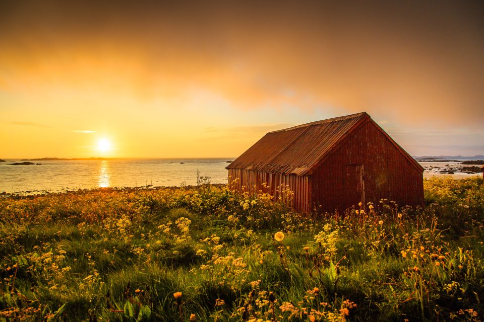 From Svolvær: Midnight Sun Photography Tour - Photographer/Guide Expertise