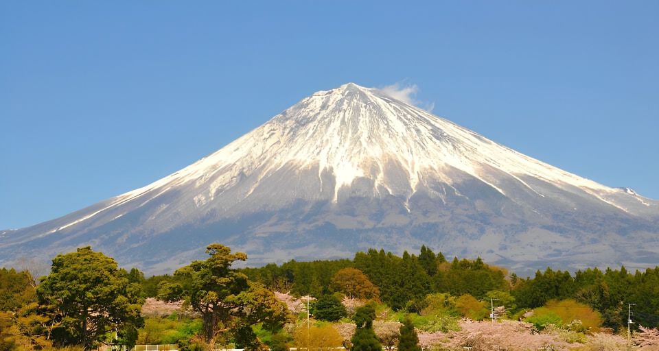 From Tokyo: 10-hour Private Tour to Mount Fuji and Hakone - Itinerary Details