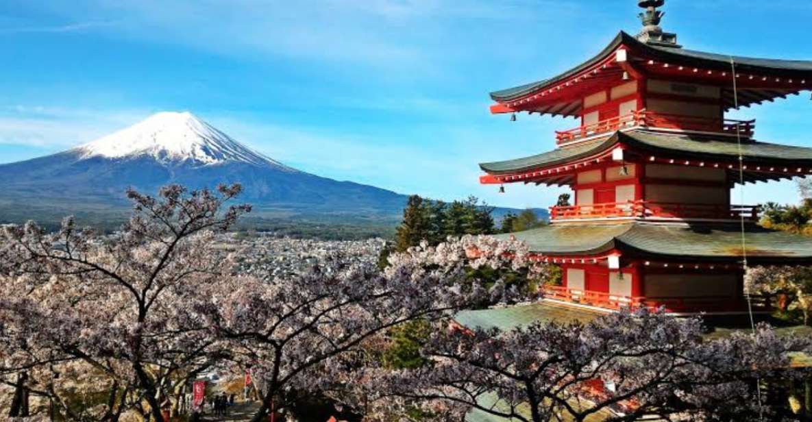 From Tokyo: Customizable Mount Fuji Full-Day Private Tour - Itinerary and Highlights