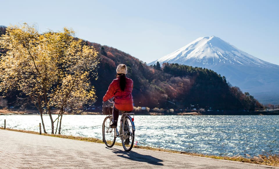 From Tokyo: Mount Fuji Instagram Spots 1-Day Private Tour - Experience Highlights