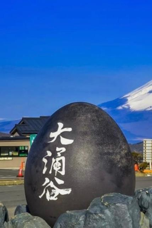 From Tokyo: Mt. Fuji or Hakone Private Sightseeing Day Trip - Itinerary Highlights