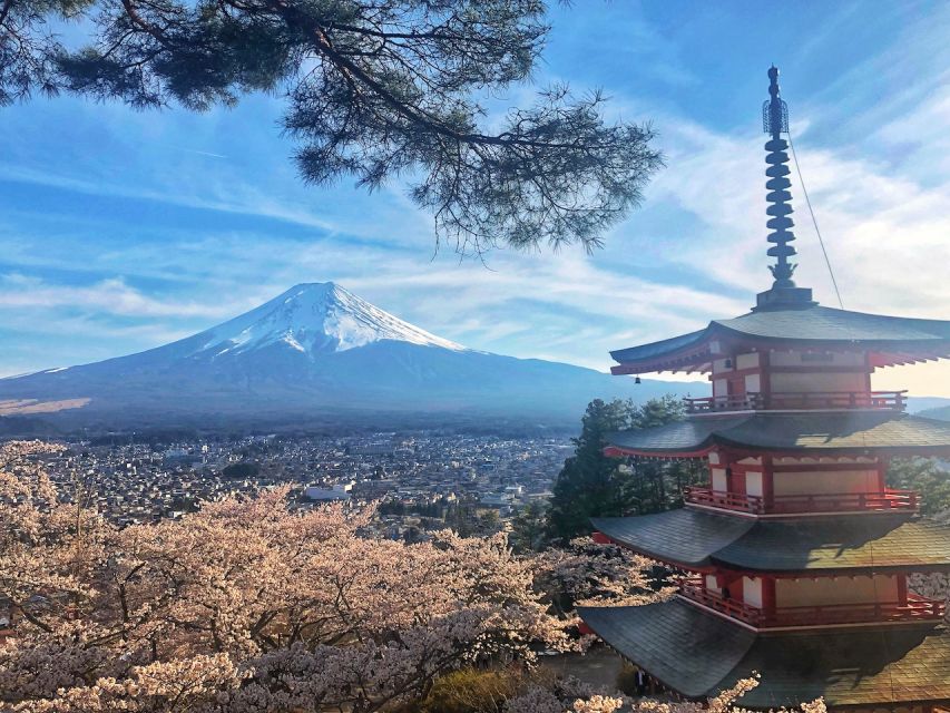 From Tokyo: Private Trip to Mount Fuji and Lake Kawaguchi - Itinerary Highlights