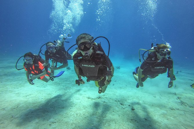 Full-Day Catalina Island Scuba Diving Tour From La Romana - Inclusions and Logistics