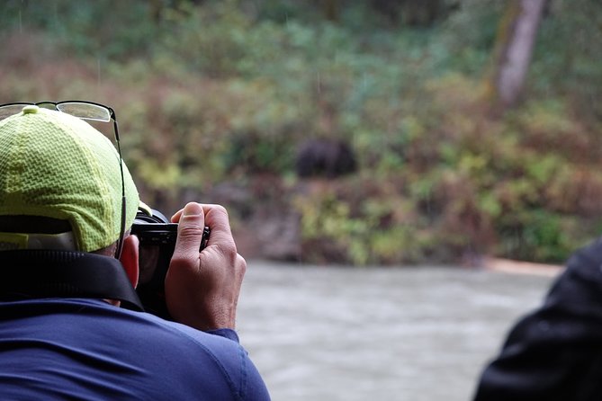 Full Day Grizzly Bear Tour to Toba Inlet - Cruise to Toba Inlet