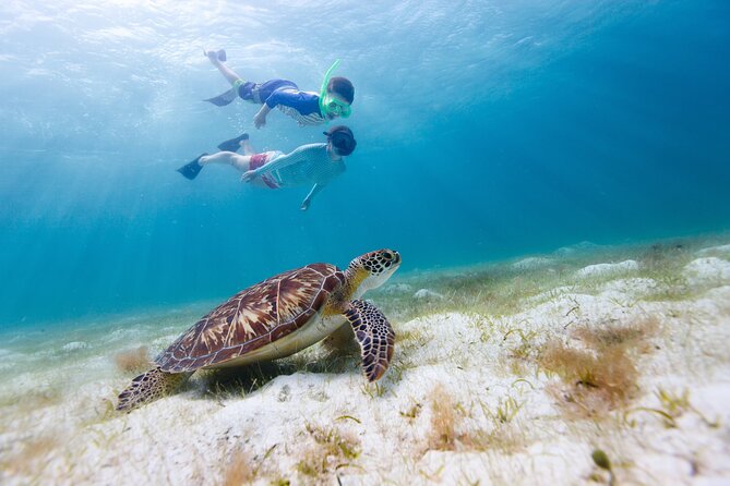 Full Day Private Power Catamaran- USVI Beach and Snorkel - Meeting and End Points